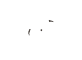 カモメ